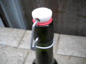 DSCN0379.JPG