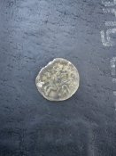 DSC01050.JPG