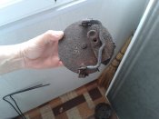 20150404_121406.jpg