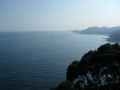 SDC10726.JPG