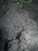 DSCN9943.JPG