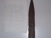 DSCN7850.JPG