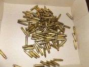 223_gecco1.JPG