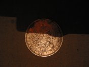 IMG_1369.jpg