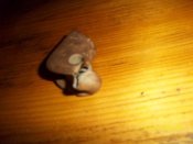 IMGP0829.JPG
