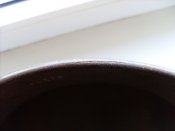 SL382835.JPG