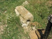 IMG_9374.jpg