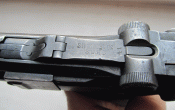 IMG_1439.gif