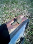 20150409124510.jpg