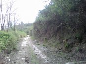 2015-03-28-979.jpg