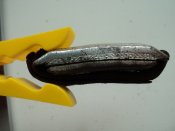DSC07020.JPG