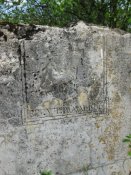 x_cf5e2730.jpg