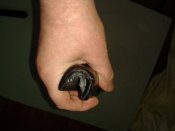 20150415_151922.jpg