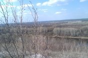 IMAG0308.jpg