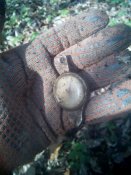 20150416103332.jpg