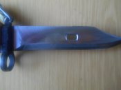 DSCN0850.JPG