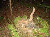 DSC03675.jpg