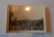 PC190161.JPG