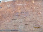 IMG_6285.JPG