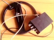 IMG0176A.jpg