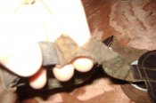 DSC04803.jpg