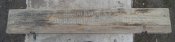 DSC01225.JPG