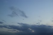 DSC03651-1.jpg