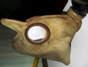 CIMG0903.JPG