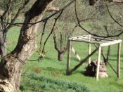DSC07288.JPG