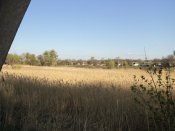 DSC07300.JPG