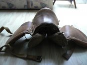 Изображение 027.jpg