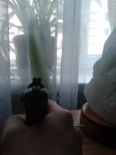 IMG087.jpg