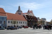 DSC_8221.JPG