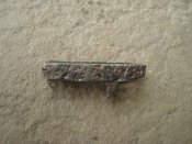 DSC08312.JPG