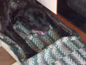 DSCF5384.JPG