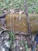 20150420_162850.jpg