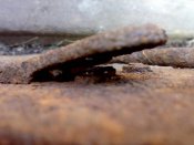 200620104317.jpg