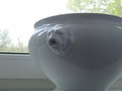 DSCF3427.JPG
