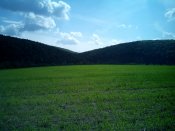 20150501111743.jpg
