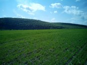 20150501111750.jpg