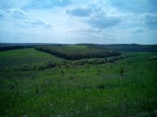 20150501142320.jpg