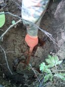 20150503123505.jpg