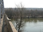 IMG_4239.JPG