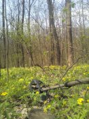 IMG_20150426_113037.jpg