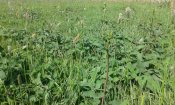 20150501_102037.jpg