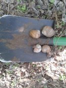 20150502_103008.jpg