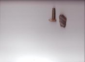 рас 001.jpg