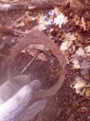 2015-04-05 16.28.26.jpg