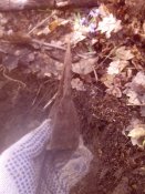 2015-04-05 16.28.29.jpg
