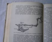 CIMG6270.JPG